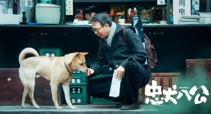 图解蜻蜓FM在印度尼西亚用不了怎么办